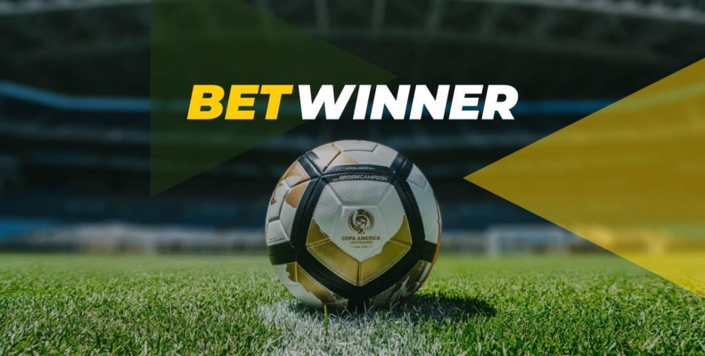 Exploring the BetWinner Gambling Platform in Brazil A Comprehensive Guide
